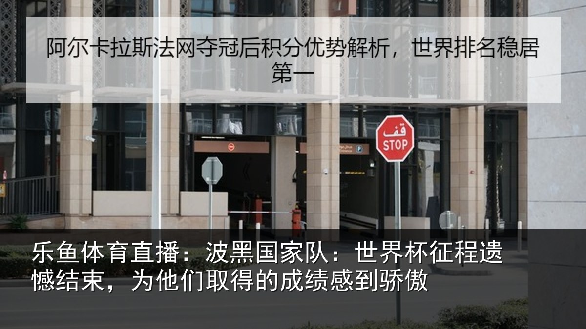 乐鱼体育直播:波黑国家队:世界杯征程遗憾结束,为他们取得的成绩感到骄傲