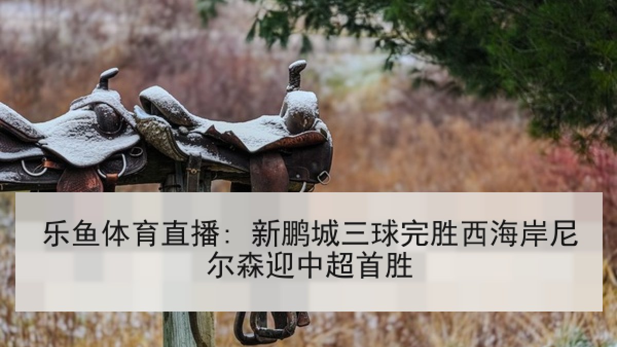 乐鱼体育直播: 新鹏城三球完胜西海岸尼尔森迎中超首胜